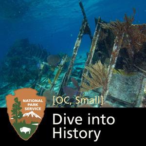 Dive into History: Shipwrecks of Biscayne National Park [OC, Small] by 