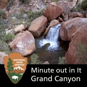 Grand Canyon National Park: Minute Out In It by 
