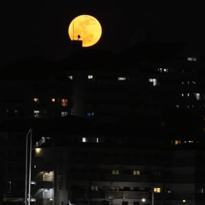 Ööülikool by (Vikerraadio)