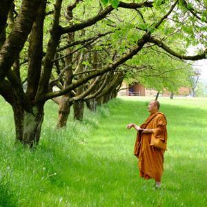 ธรรมบรรยายล่าสุด โดย พระกฤช นิมฺมโล by พระกฤช นิมฺมโล