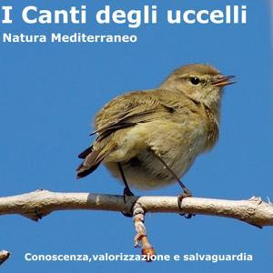 Canti degli uccelli - Natura Mediterraneo by Natura Mediterraneo