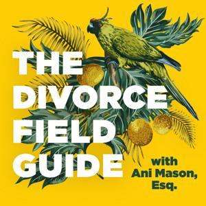 The Divorce Field Guide by Ani Mason, Esq.