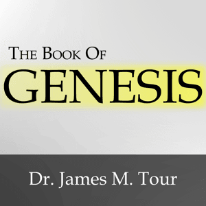 The Book of Genesis by James M. Tour