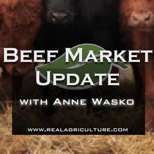 Beef Market Update – RealAgriculture by RealAgriculture