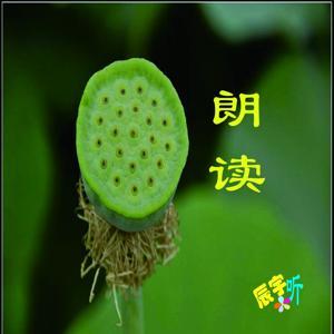 辰宇听 by 辰宇听听，辰宇