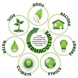 Living Permaculture by Jerome Osentowski, Vanessa Harmony