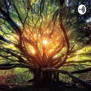 Wicca Wisdom by Lori