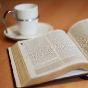 Lecture quotidienne de la bible en 1 an by Mission Timothée