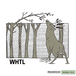 The WHTL Podcast - Whitetail Deer Hunting Tactics, Stories  Expert Guests by Jake Hofer
