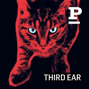 Forsvundne katte by Politiken