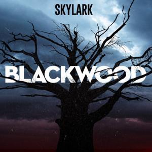 Blackwood by Scary Fun