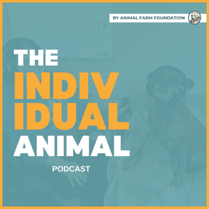 The Individual Animal by Animal Farm Foundation
