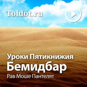 Рав Моше Пантелят  — Уроки Пятикнижия — Бемидбар, уроки в аудиоформате by toldot.com