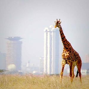 Radio Radicale - Africa oggi by Radio Radicale - Massimo Bordin e Shukri Said