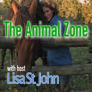 The Animal Zone by Bold Brave TV