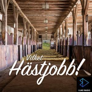Vilket Hästjobb! by I LIKE RADIO