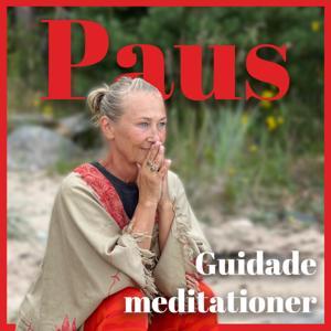 Paus - guidade meditationer by Karin Björkegren Jones