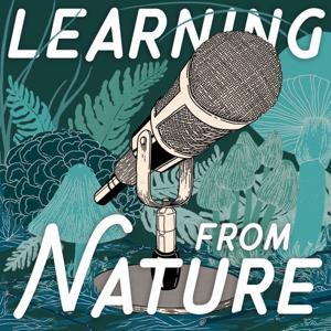 Learning from Nature: The Biomimicry Podcast with Lily Urmann by Lily Urmann