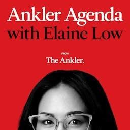 Ankler Agenda by TheAnkler.com