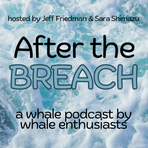 After the Breach Podcast by Jeff Friedman and Sara Shimazu