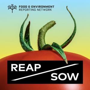 REAP/SOW by FERN