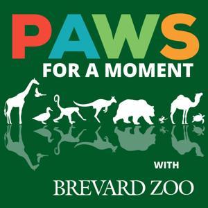 Paws for a Moment by Brevard Zoo