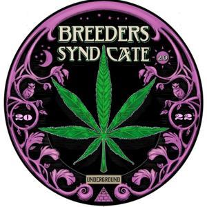 Breeders Syndicate 3.0 by Matthew Riot