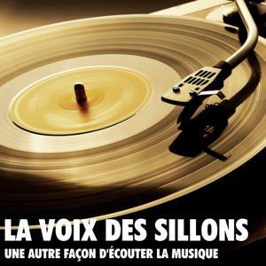 La Voix des Sillons by Frederic Terrien