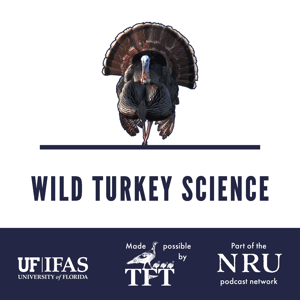 Wild Turkey Science by Dr. Marcus Lashley & Dr. Will Gulsby