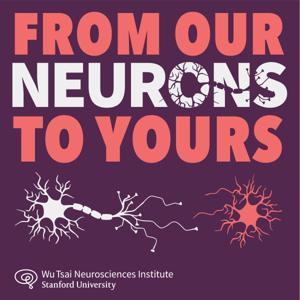 From Our Neurons to Yours by Wu Tsai Neurosciences Institute at Stanford University, Nicholas Weiler