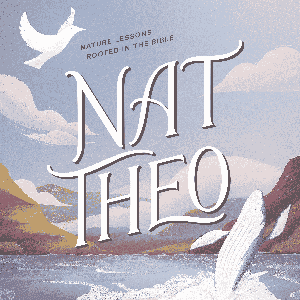 Nat Theo Nature Lessons Rooted in the Bible by The Natural Theology Project