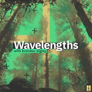Wavelengths with Brendon Bigley by Brendon Bigley