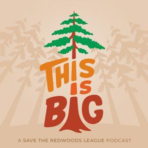 This is Big by Save the Redwoods League