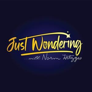 Just Wondering... with Norm Hitzges by Norm Hitzges, Bleav