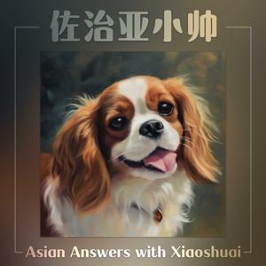 Asian Answers 佐治亚小帅｜北美华人故事访谈 by XiaoshuaiFM