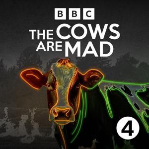 The Cows Are Mad by BBC Radio 4