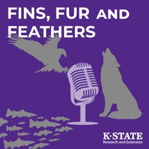 Fins, Fur, and Feathers by Joe Gerken and Drew Ricketts
