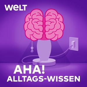 Aha! Zehn Minuten Alltags-Wissen by WELT