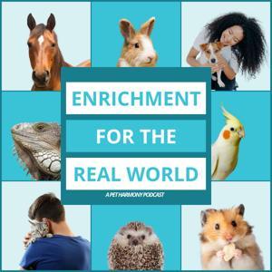 Enrichment for the Real World by Pet Harmony Animal Behavior and Training