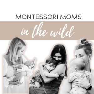 Montessori Moms in the Wild by Montessori Moms in the Wild