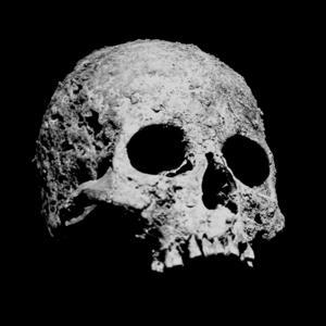 Ossos Perdidos by Bryan Emmendörfer