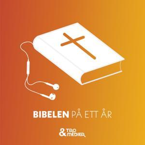 Bibelen på ett år by Tro og Medier