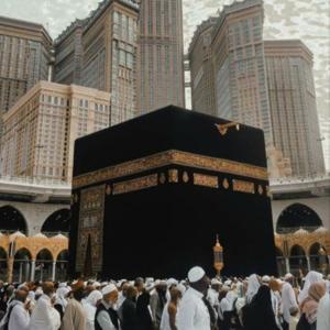 Coran Arabe Français Rashid Alafasy by Salmi Younes