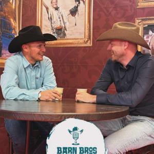 Barn Bros by Lars Nebel, Roman Borgolte