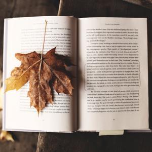 Bücher Casting X by Robert Wegener