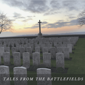 Tales from the Battlefields by Terry Whenham
