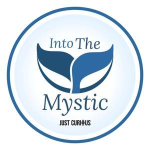 Into The Mystic: Tales From Hollywood East by Just Curious Media & Mystic Film Festival