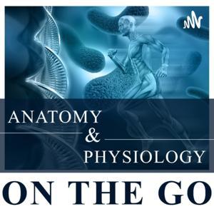Anatomy & Physiology On The Go by Anatomy & Physiology On The Go