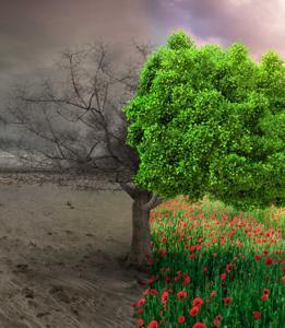 HIStory: A Chronological Journey Through the Bible by Pastor Ryan Johnson