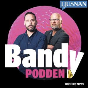 Bandypodden från Ljusnan by Ljusnan